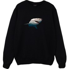 Stonedfame Köpek Balığı Shark