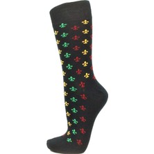 Socks Master Merserize Dikişsiz 2 Çift Erkek Lüks Çorap