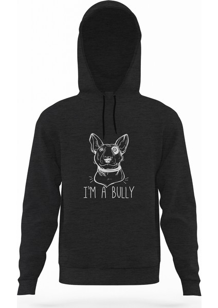 I'm A Bully Füme Antrasit Erkek Kapüşonlu Sweatshirt Uzun Kol