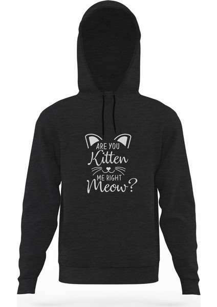 Are You Kitten Me Right Meow Füme Antrasit Erkek Kapüşonlu Sweatshirt Uzun Kol