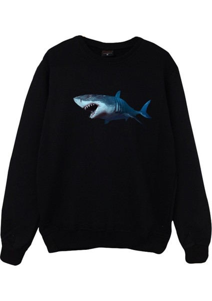 Köpek Balığı Shark
