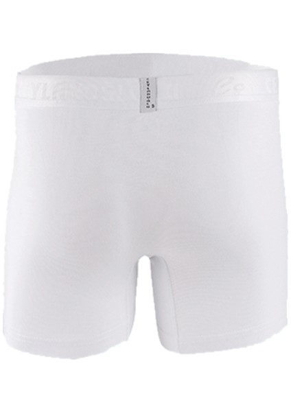 034 3 Lü Boxer fiyatları