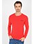 Bisiklet Yaka Uzun Kollu Dar Kalıp İnce Erkek Sweatshirt SPR2019K18 5