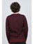 Erkek V Yaka Desenli Yün Kazak 0249537 Bordo 5
