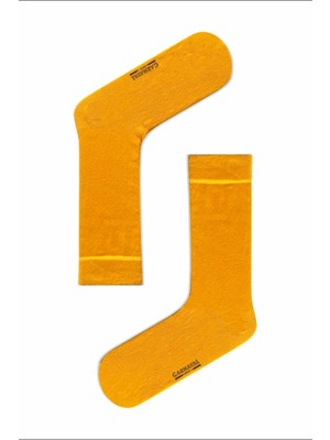 Carnaval Socks Hardal Renkli Pastel Tasarım Çorap