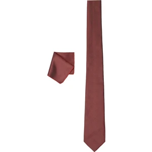 ALTINYILDIZ CLASSICS Erkek Bordo Nano Kravat-Mendil Set