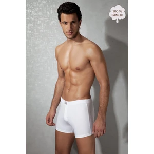 Beyaz Erkek Boxer 1509