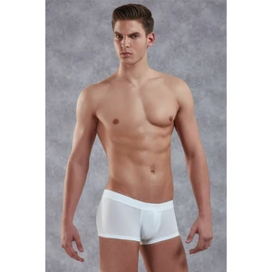 Beyaz Erkek Boxer 1760