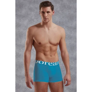 Turkuaz Erkek Boxer 1777