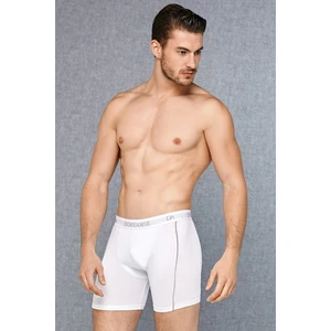 Beyaz Erkek Boxer 1780