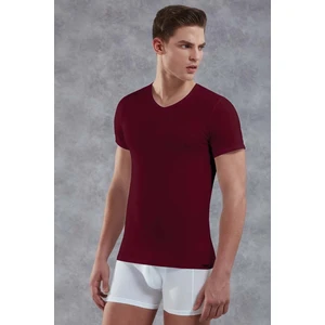 Bordo Erkek T-Shirt 2855