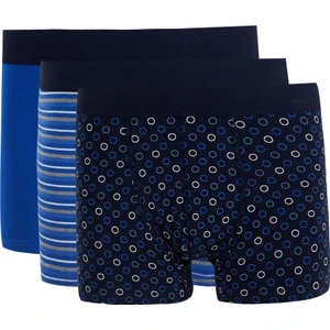 Defacto Esnek Kumaş Standart Kalıp 3'lü Boxer T4910AZ21SP
