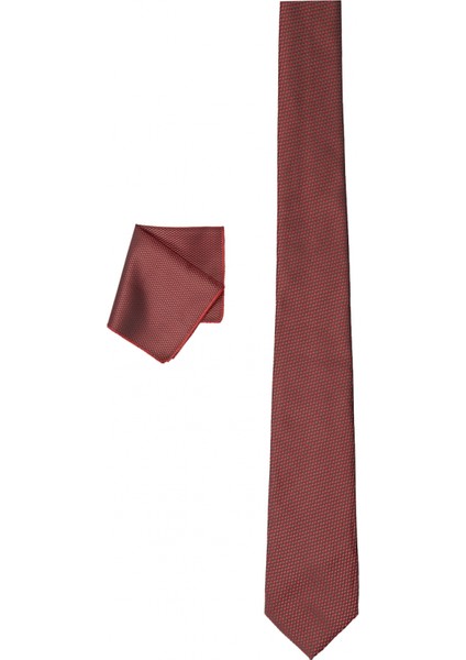ALTINYILDIZ CLASSICS Erkek Bordo Nano Kravat-Mendil Set