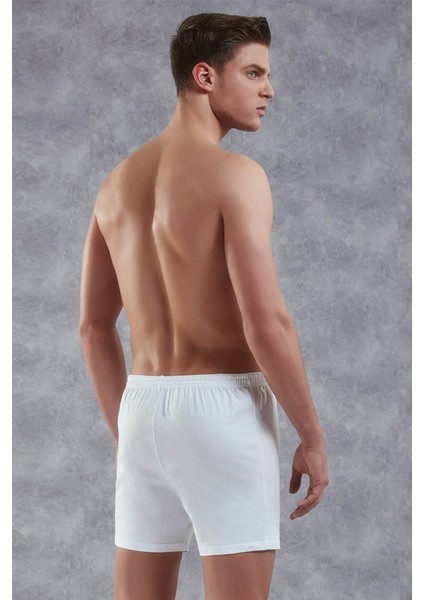Beyaz Erkek Boxer 1505 fiyatları