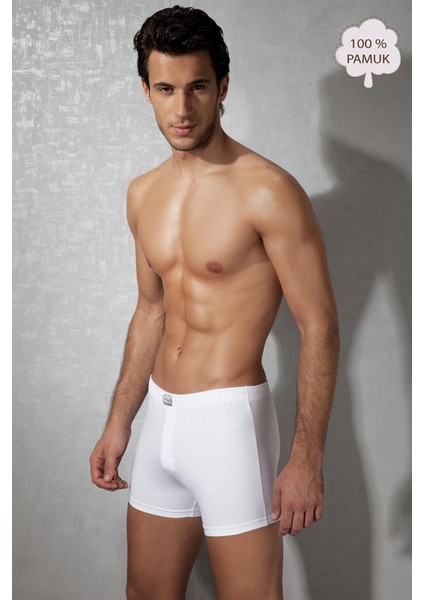 Beyaz Erkek Boxer 1509