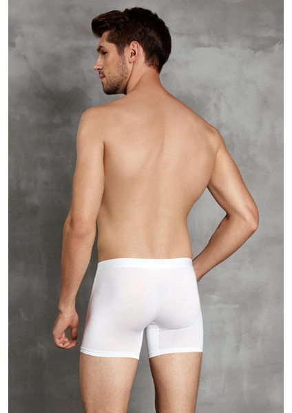Mikro Modal Çeyizlik Erkek Boxer Külot 1515P fiyatları