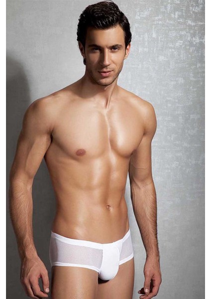 Beyaz Erkek Boxer 1584