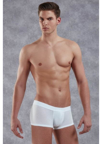 Beyaz Erkek Boxer 1760