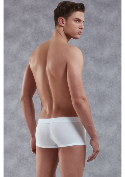 Beyaz Erkek Boxer 1760