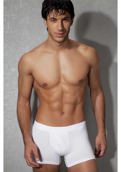 Beyaz Erkek Boxer 1767