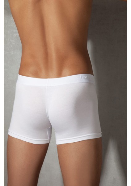 Beyaz Erkek Boxer 1767