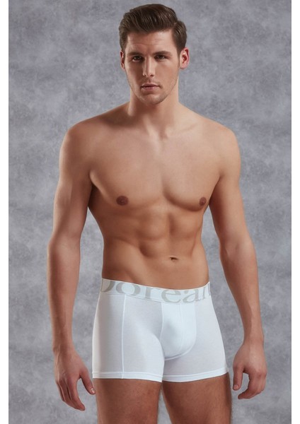 Beyaz Erkek Boxer 1777