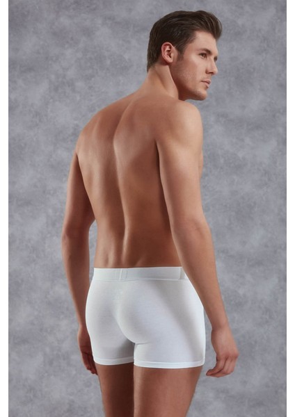 Beyaz Erkek Boxer 1777