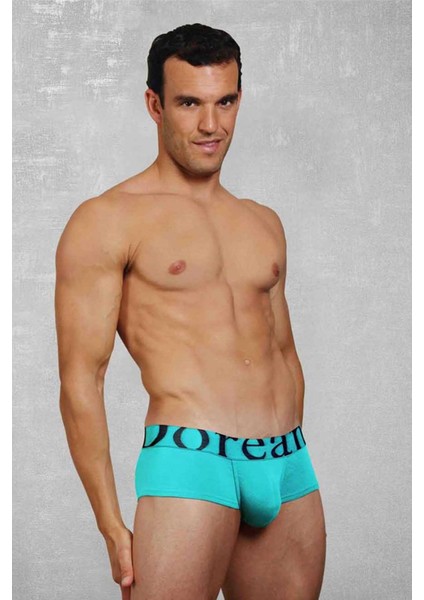 Turkuaz Erkek Boxer 1779
