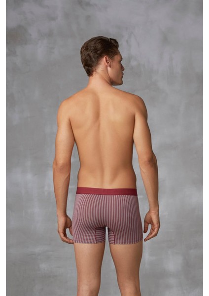 1866 ERKEK MODAL ÇİZGİ DESENLİ BORDO BOXER fiyatları