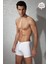 Beyaz Erkek Boxer 1509 1