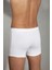 Beyaz Erkek Boxer 1509 2