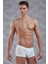 Beyaz Erkek Boxer 1760 1