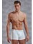 Beyaz Erkek Boxer 1777 1