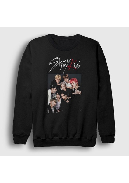 Unisex Siyah Band Stray Kids Sweatshirt