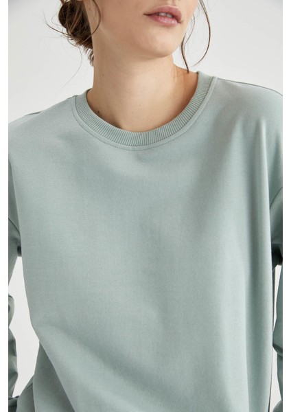 Regular Fit Bisiklet Yaka Basic Sweatshirt M0021AZ21SP modelleri