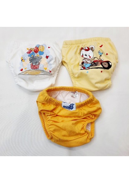 Berkaysundan 3 Adet Tuvalete Alıştırma Külotu fiyatları