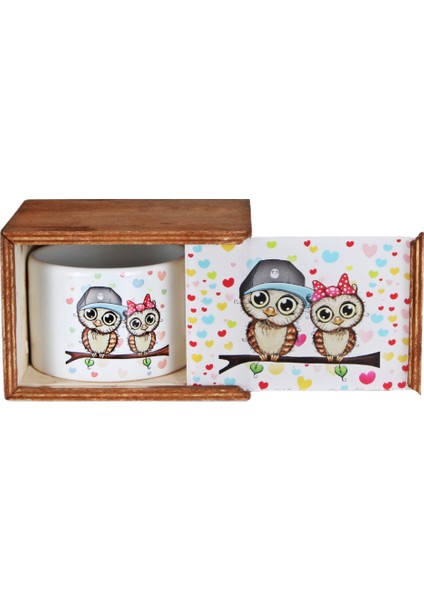 Best Friends Baykuş Puf Yastık Baykuş Kutulu Kupa Baykuş Seramik Küllük Set modelleri