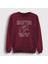 Unisex Bordo Logo Led Zeppelin Sweatshirt 1