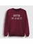 Unisex Bordo Symbols Led Zeppelin Sweatshirt 1