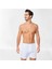 3 Ad Tutku Arjantin Boxer 2