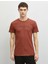 Erkek Pamuklu Yazılı Baskılı Kısa Kollu T-Shirt 3