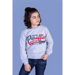 Erkek Çocuk Premium Baskılı Sweatshirt