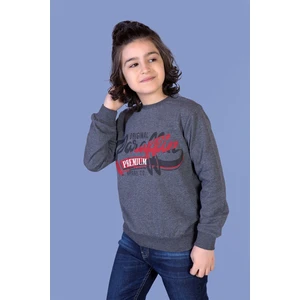 Erkek Çocuk Premium Baskılı Sweatshirt