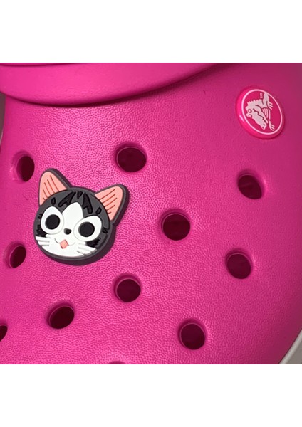 Crocs Terlik Süsü & Renkli Aksesuar Jibbitz