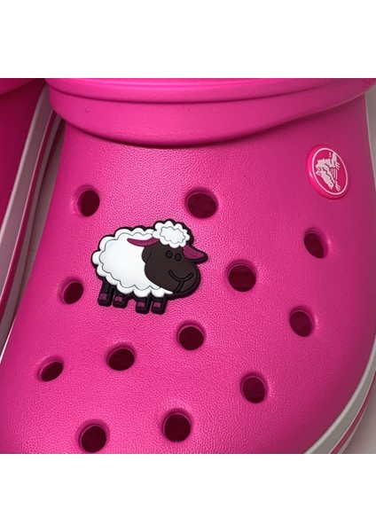 Crocs Terlik Süsü & Renkli Aksesuar Jibbitz