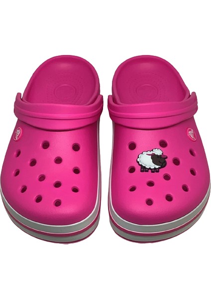 Crocs Terlik Süsü & Renkli Aksesuar Jibbitz