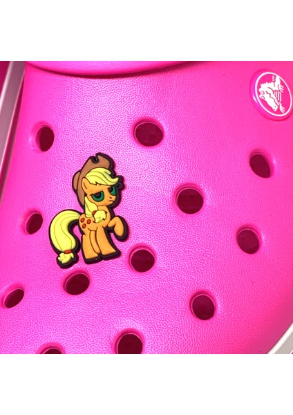 Crocs Terlik Süsü & Renkli Aksesuar Jibbitz