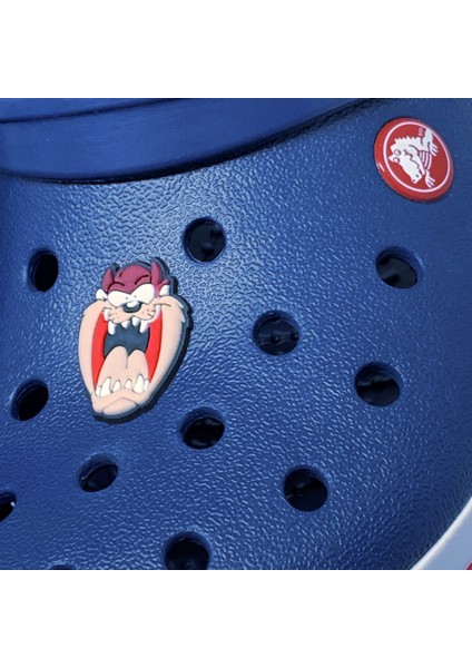 Crocs Terlik Süsü & Renkli Aksesuar Jibbitz
