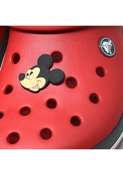 Crocs Terlik Süsü & Renkli Aksesuar Jibbitz fiyatları