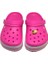 Crocs Terlik Süsü & Renkli Aksesuar 3 Boyutlu Jibbitz 4
